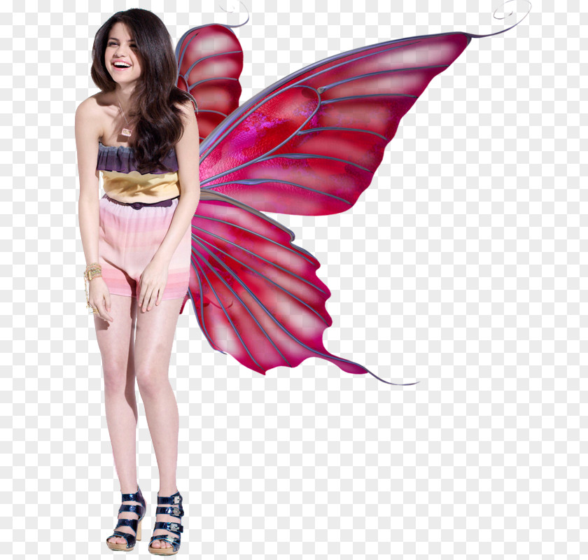 Butterfly Wings Photography Color Clip Art PNG