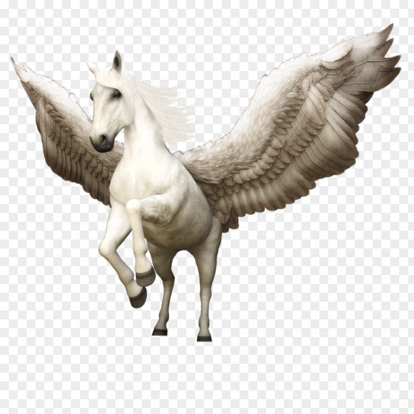 Horse Pegasus Greece Cavalo-alado Winged Unicorn PNG