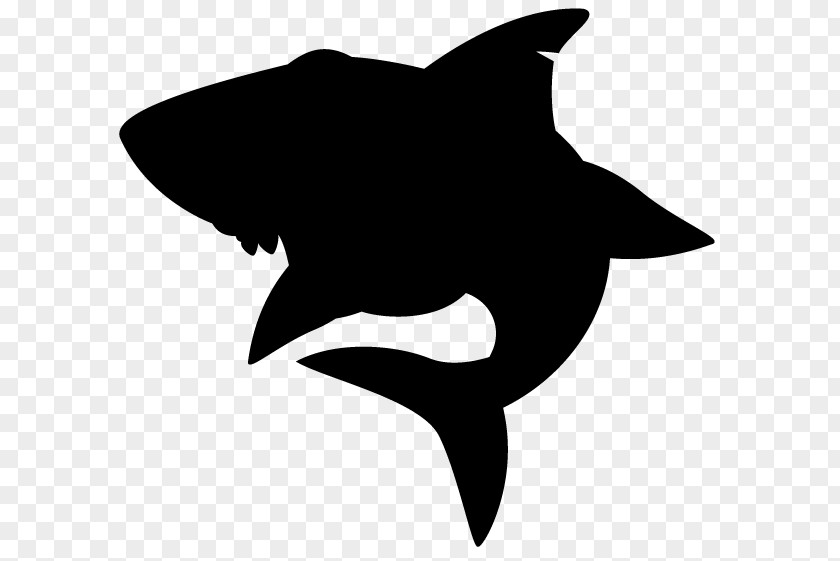 M Shark Clip Art Silhouette Dolphin Black & White PNG