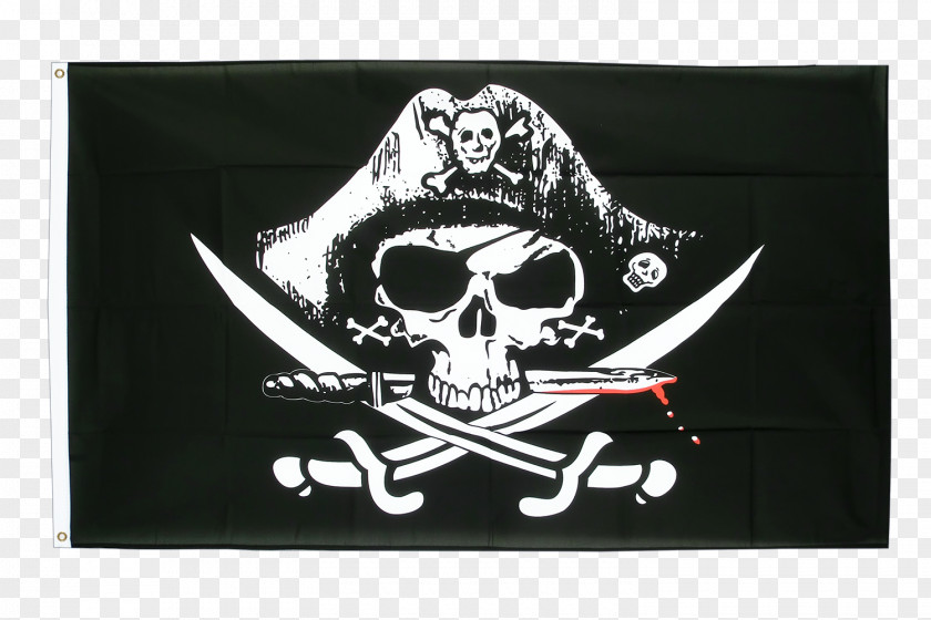 Pirate Jolly Roger Flag Edward Teach Piracy Skull And Crossbones PNG