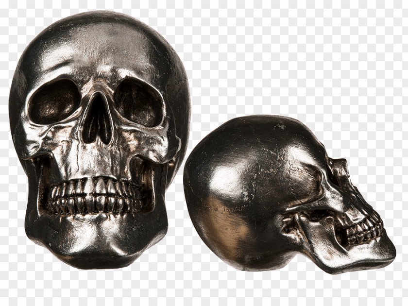 Skull Calavera Totenkopf Skeleton Bone PNG