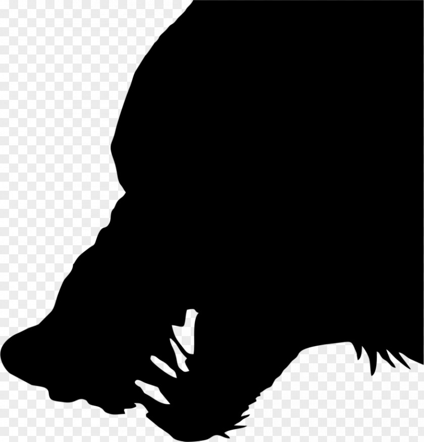 Wolf Vector Gray Silhouette Clip Art PNG