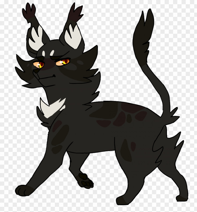 Cat Black Whiskers Hawkheart PNG