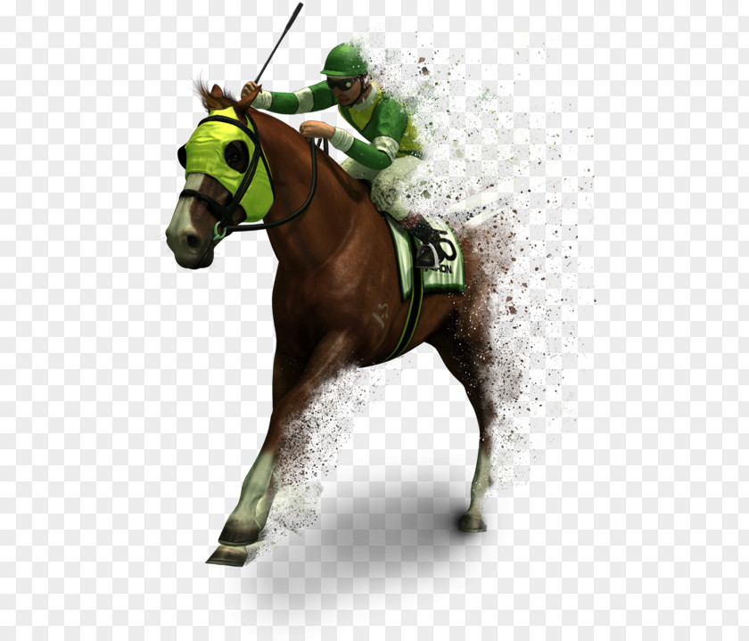Dispersion Jockey Thoroughbred Horse Racing Sports Betting PNG