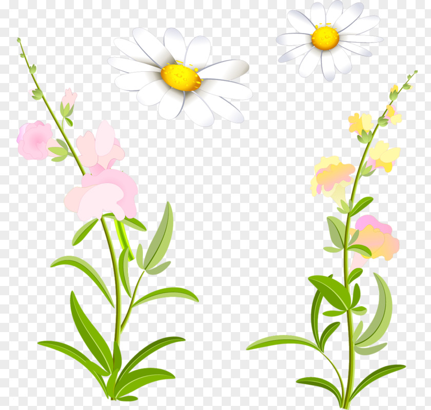 Flower Floral Design Cut Flowers Plant Stem Wildflower PNG