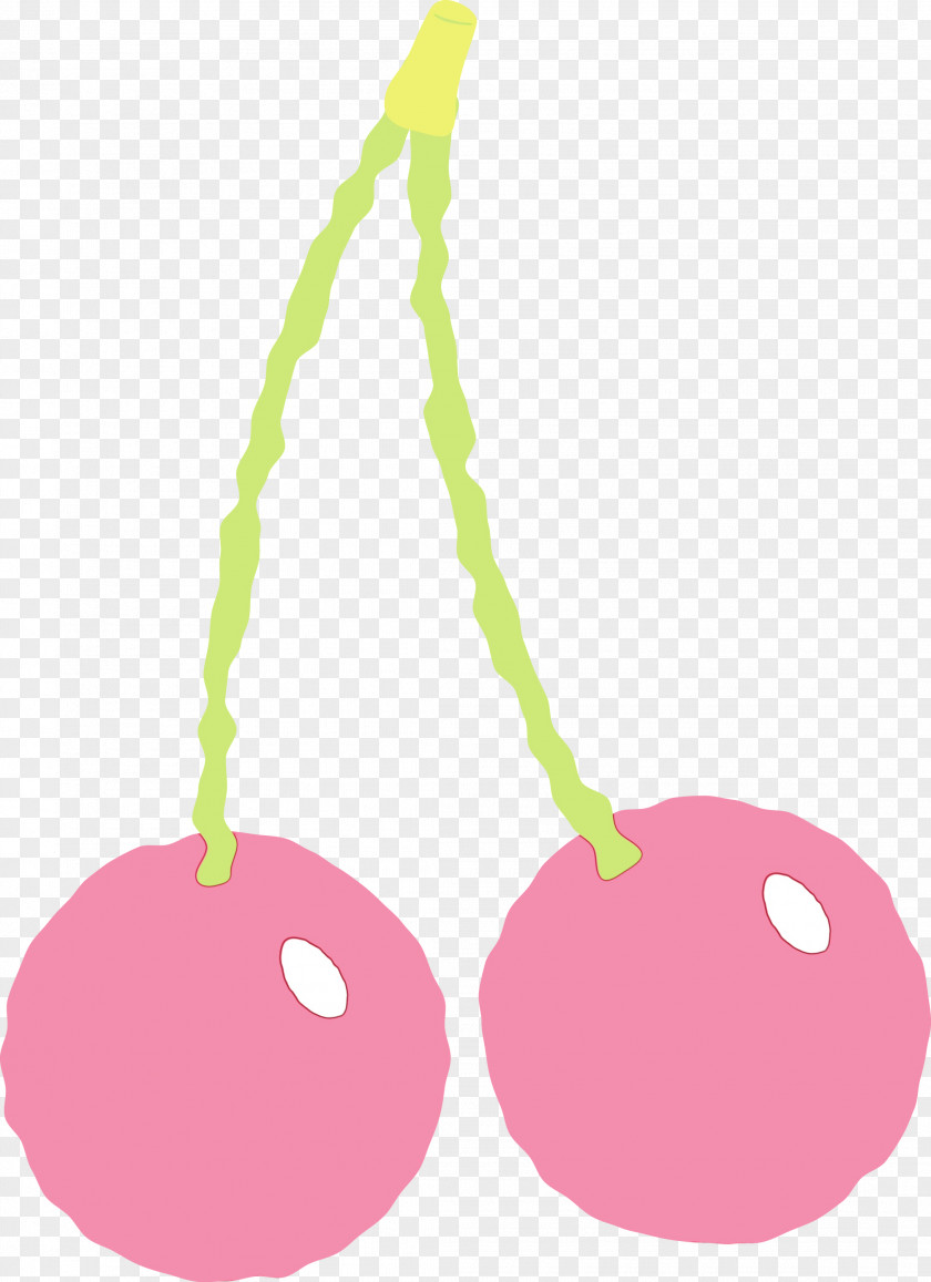Pink Plant Fruit PNG