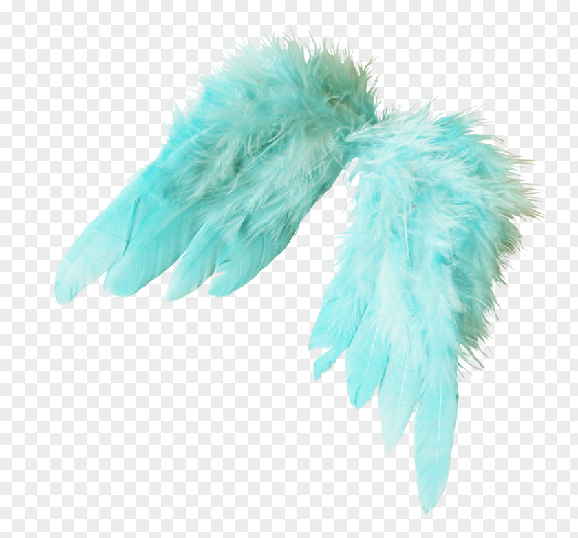Blue Wings Polyvore Download PNG