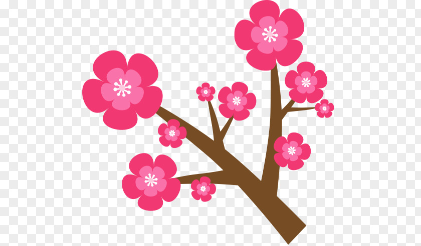 Cherry Blossom Flower Floral Design PNG