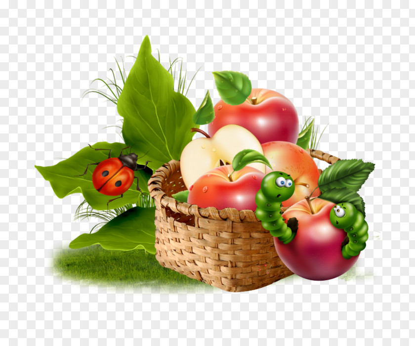 Juice Apple Vegetarian Cuisine Food PNG
