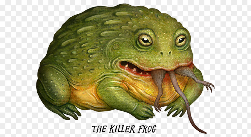 Nature，sea Animals，marine Microorganisms American Bullfrog Toad Amphibian Tree Frog PNG