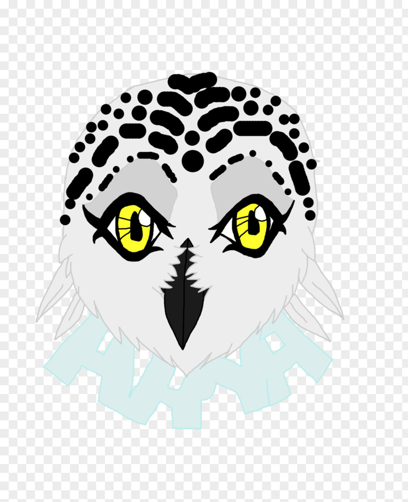 Owl Snowy Bird Beak PNG