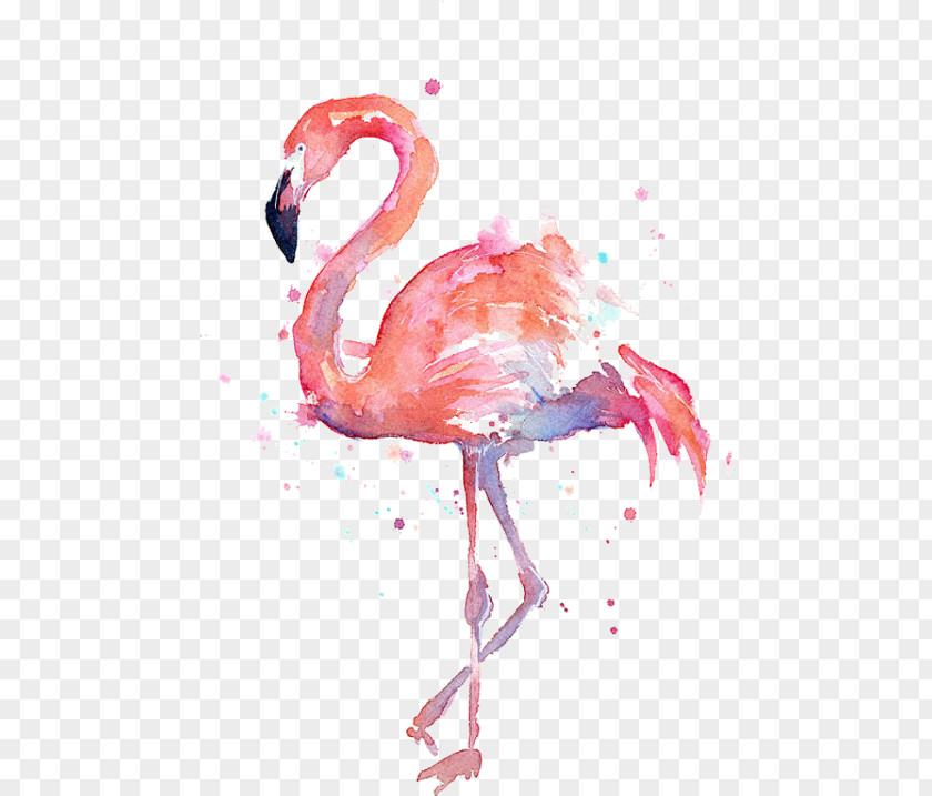 Painting Watercolor Flamingo Art Canvas PNG