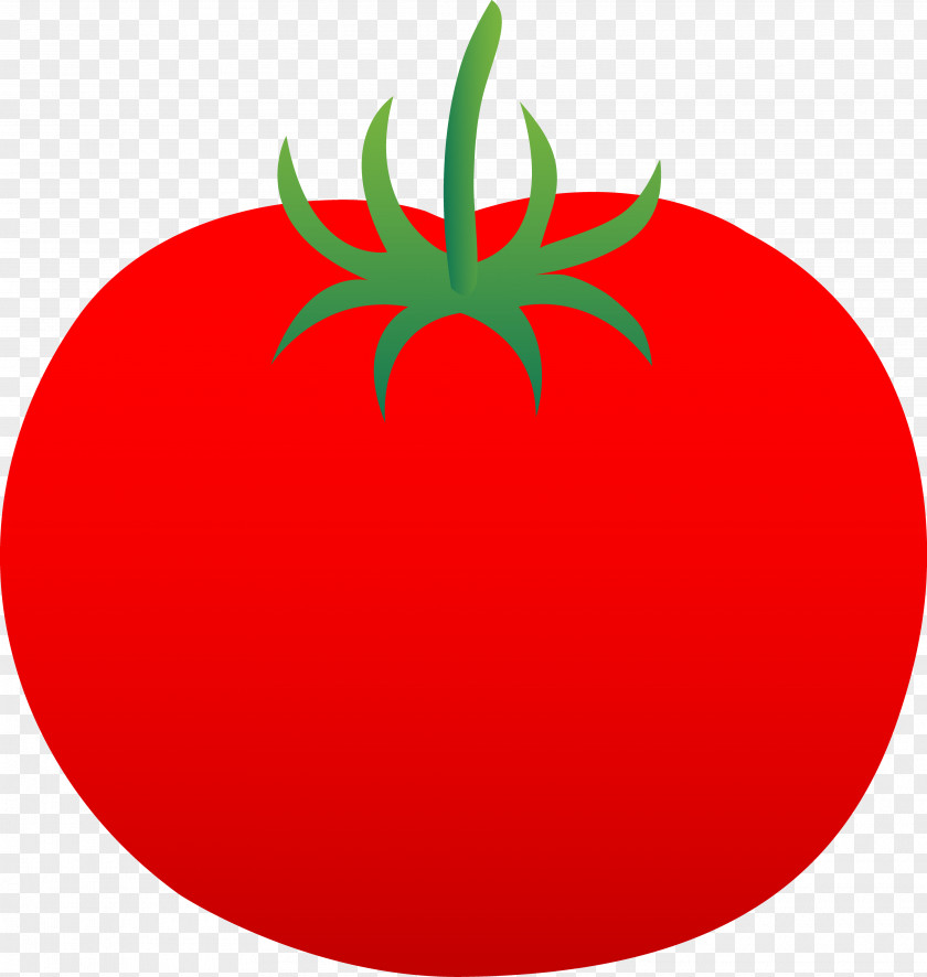 Tomato Cliparts Apple Leaf Flower Clip Art PNG