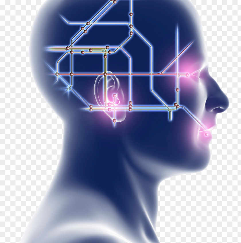 Brain Artificial Intelligence Integrated Circuit PNG