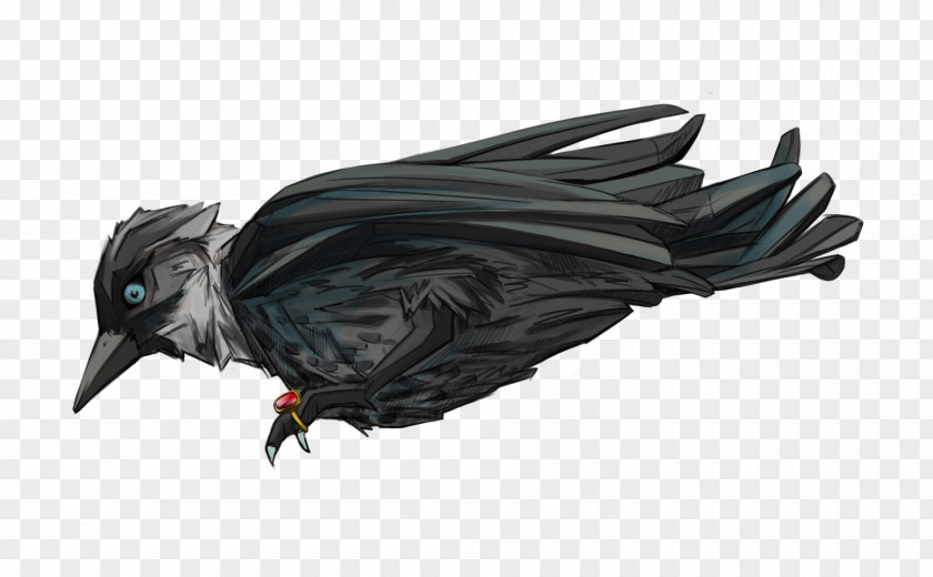 Feather Beak Crow PNG