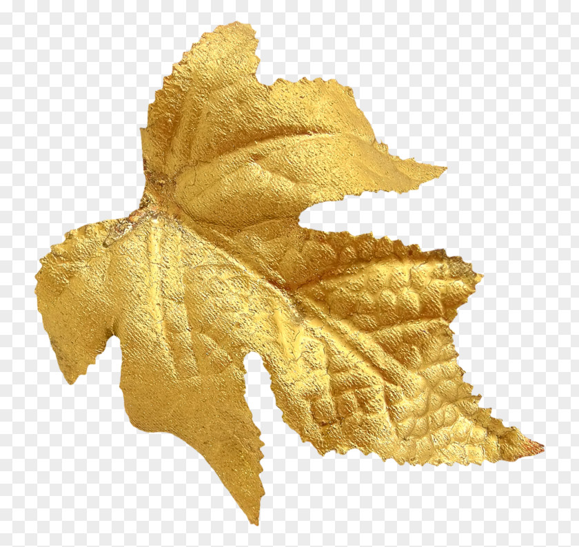 Golden Leaf PNG