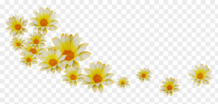 Petal Flower Chrysanthemum Clip Art Desktop Wallpaper PNG