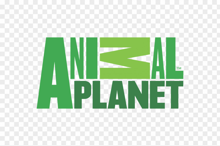 Planet Stone Logo Animal Dog Television Channel Show PNG