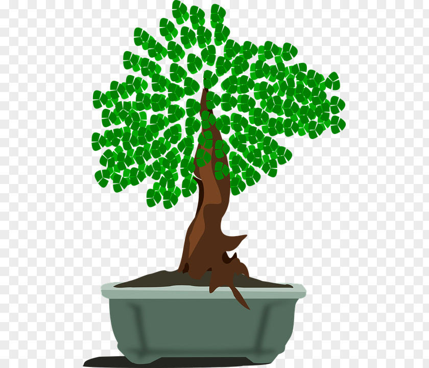 Tree Bonsai Graphics Clip Art Image PNG