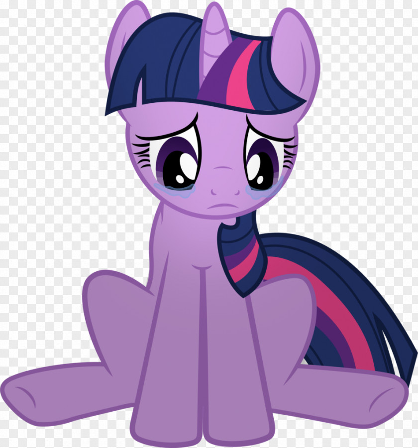 Twilight Sparkle Discovery Family The Saga My Little Pony Television PNG