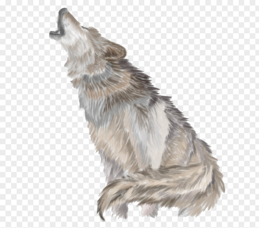 Wolves Howl Gray Wolf Clip Art PNG
