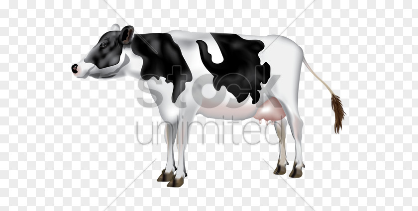 Mastitis In Dairy Cattle Calf Milk PNG