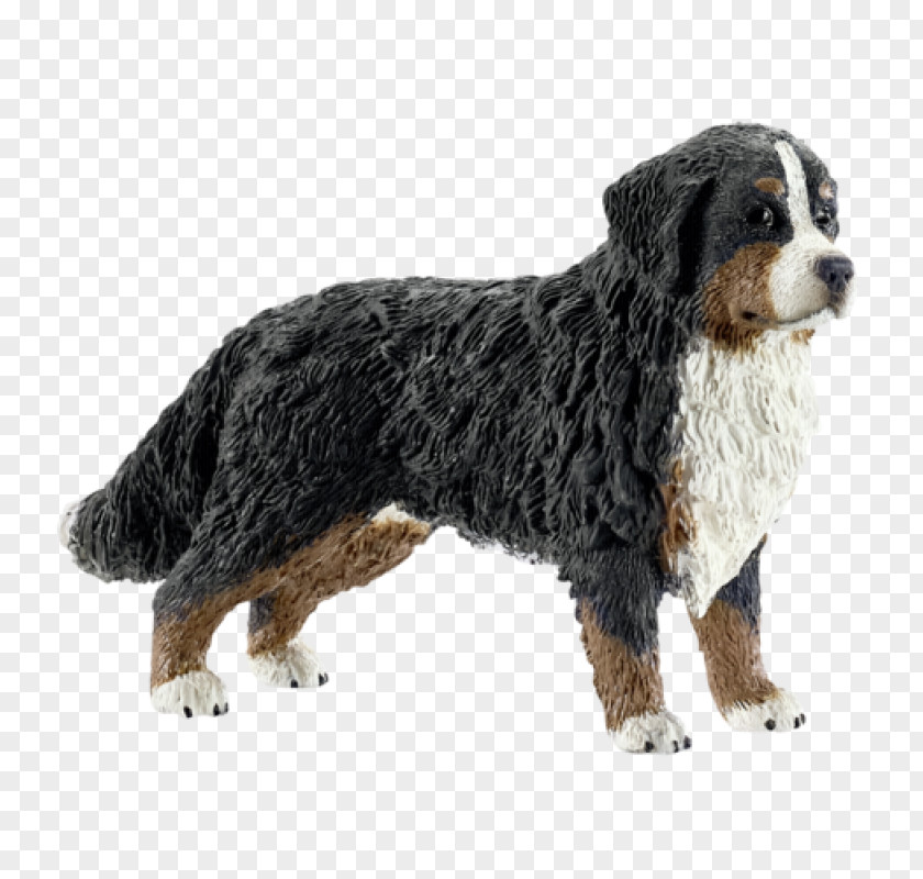 Puppy Bernese Mountain Dog Border Collie Golden Retriever German Shepherd PNG