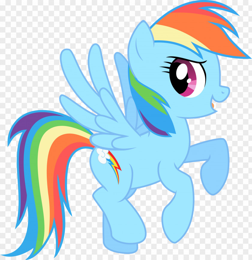 Rainbow Dash Twilight Sparkle Pinkie Pie Pony Applejack PNG