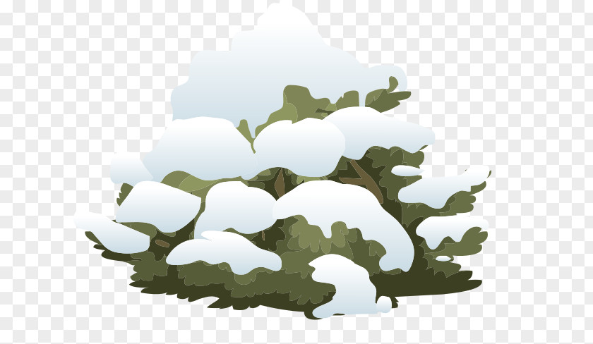 Snow Shrub Tree Clip Art PNG