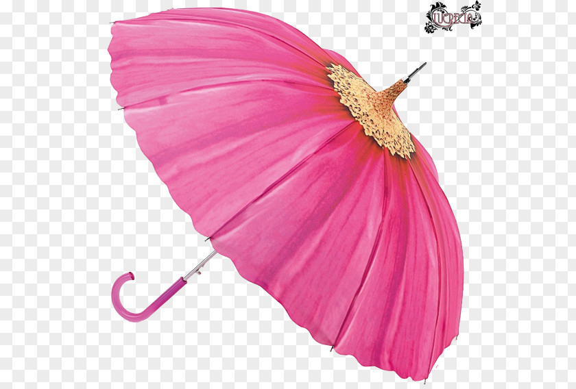 Umbrella Bumbershoot Rain Handbag Auringonvarjo PNG
