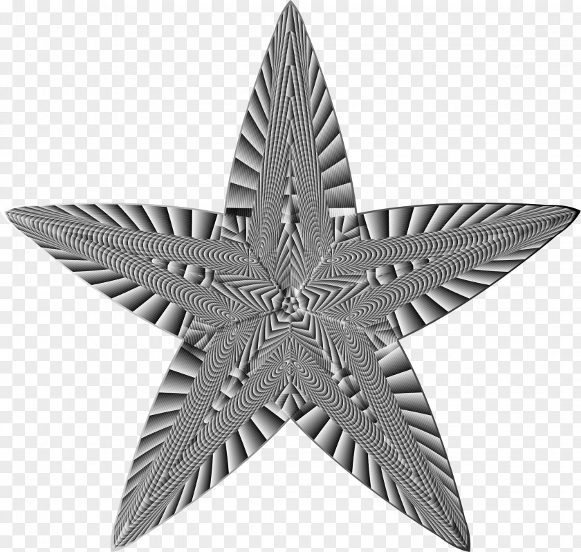 5 Star Starfish Clip Art PNG