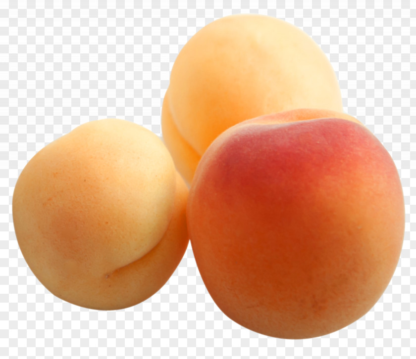 Apricots In Closeup Apricot Lemon Frutti Di Bosco Grapefruit PNG