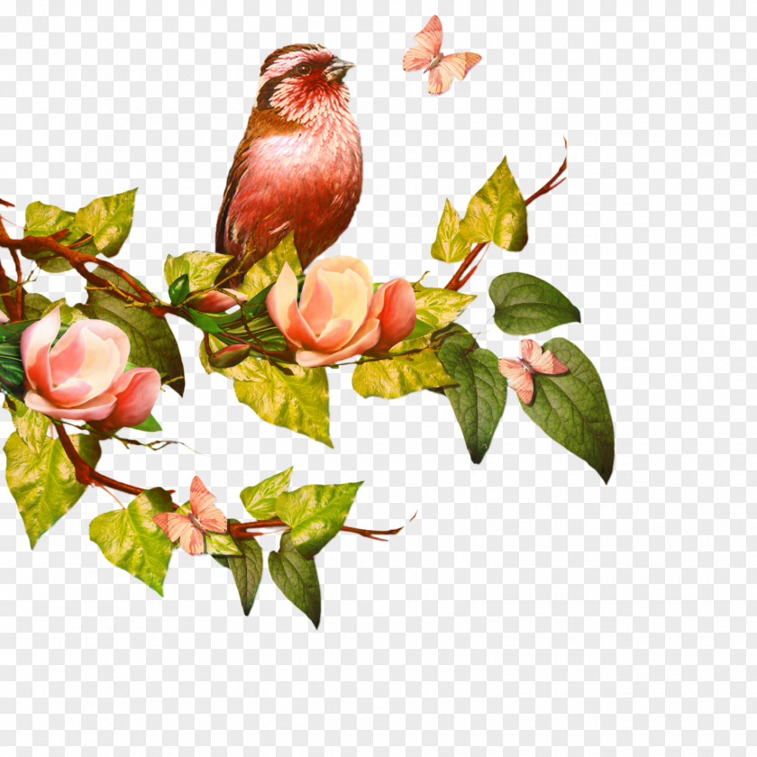 Bud Holly Flowers Background PNG