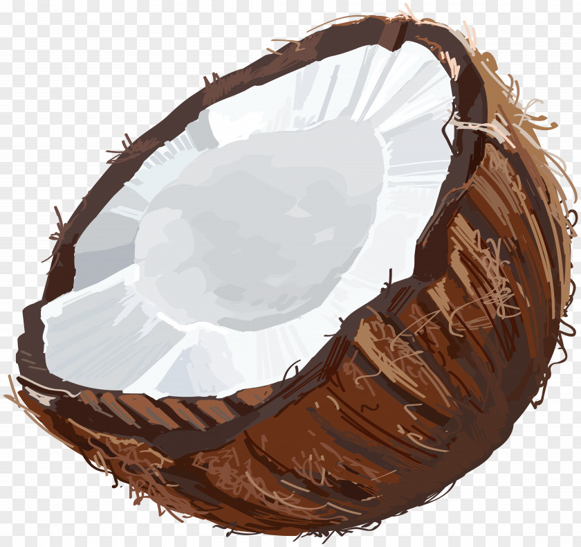 Coconout Fruit Clip Art PNG