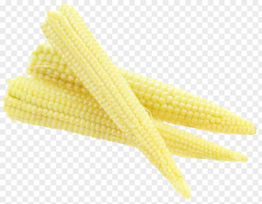 Fresh Baby Corn On The Cob Maize Yellow PNG