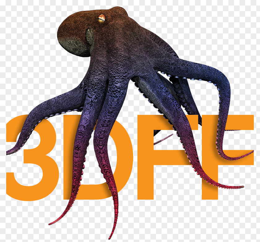 Indie Fest Octopus 3D Film Festival PNG
