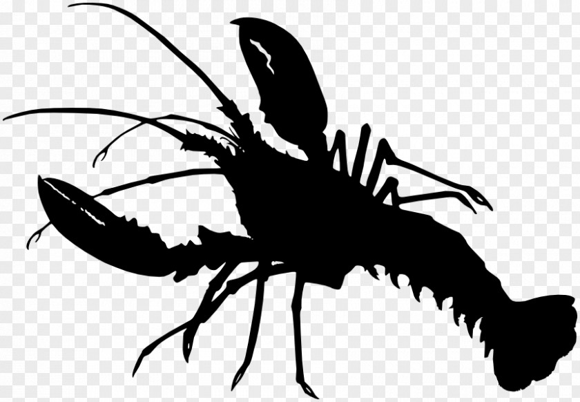 Lobster Crayfish As Food Crab Silhouette PNG