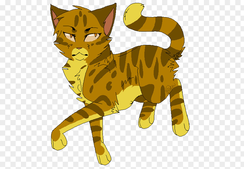 Cat Whiskers Warriors Tiger Leopardstar PNG