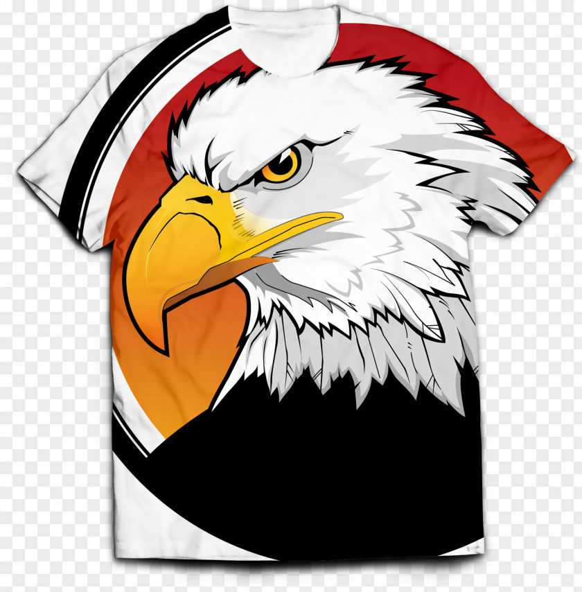 Design Bald Eagle Designer Drawing Sketch PNG