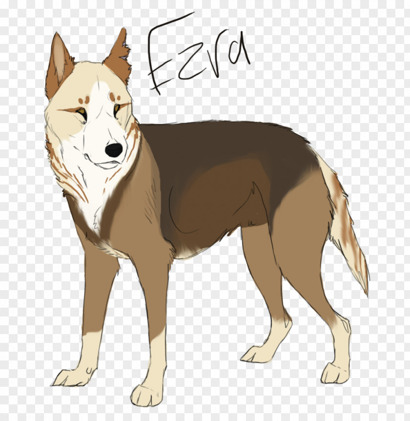 Eszra Saarloos Wolfdog Czechoslovakian Norwegian Lundehund Shikoku Dog Breed PNG