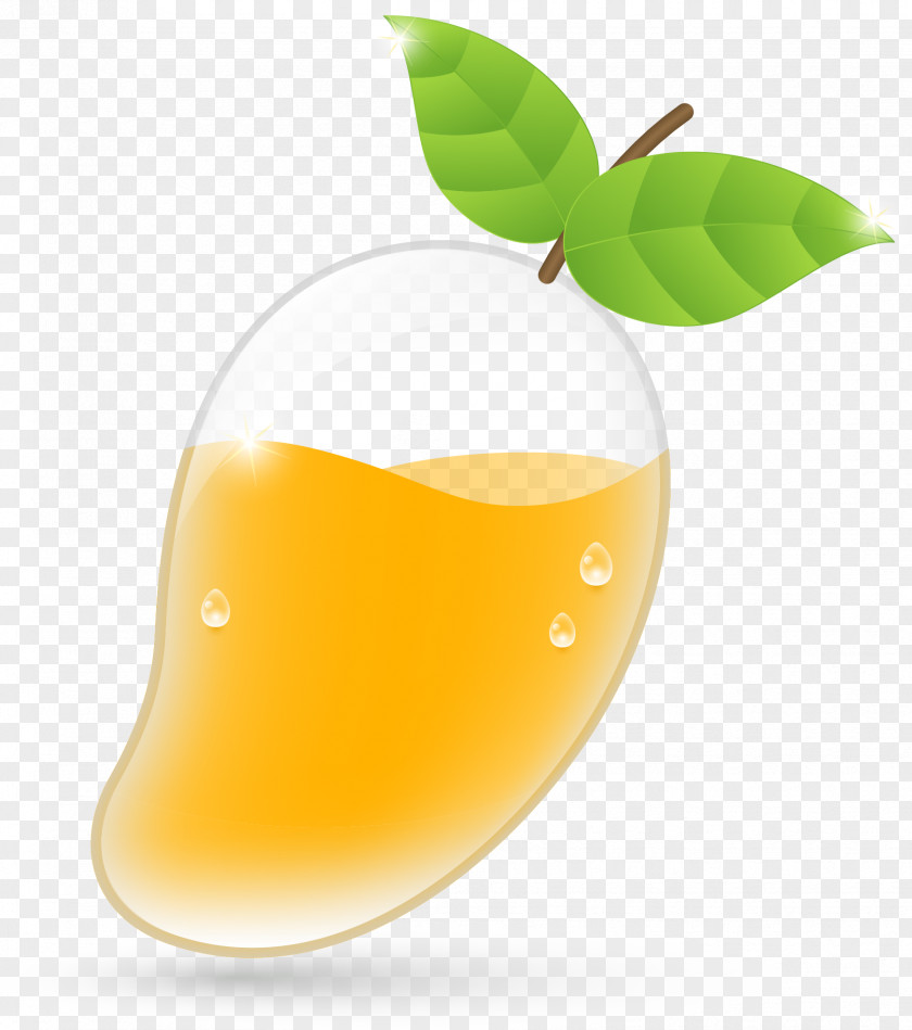 Mango Orange Juice Fruit Drink PNG