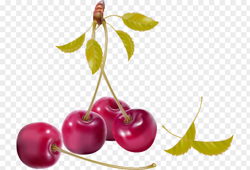 Red Simple Cherry Fruit Products In Kind Berry Royalty-free Clip Art PNG