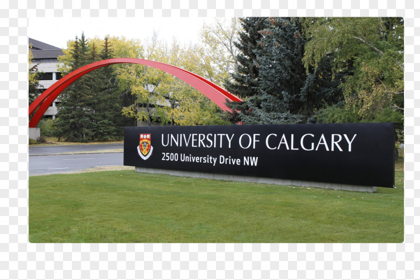 Student University Of Calgary School Master's Degree PNG