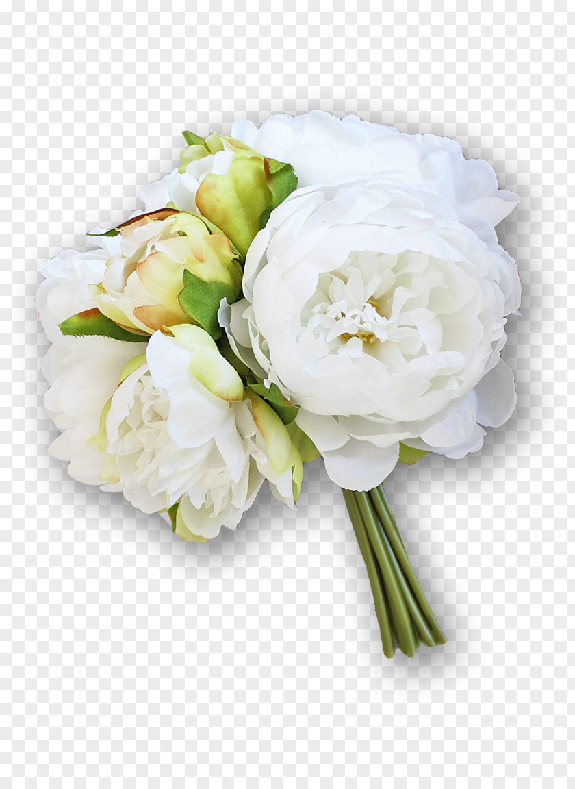 White Hall Garden Roses Cabbage Rose Floral Design Cut Flowers Gardenia PNG