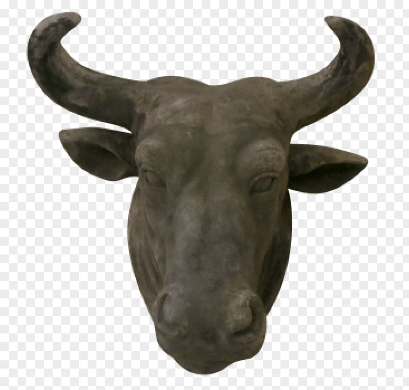 Bull Cart Cattle Sculpture Snout Jeffrey Horn PNG