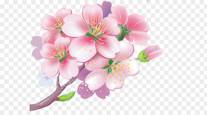 Cherry Blossom Натяжна стеля Clip Art PNG