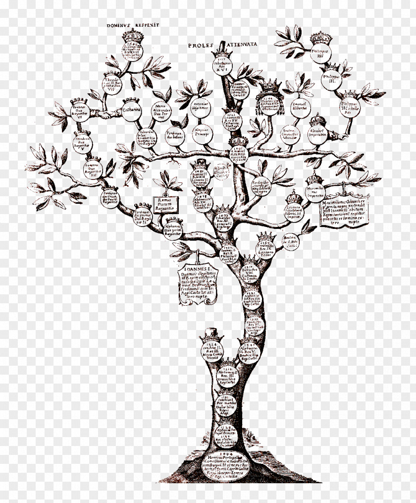 Family Genealogy Tree Individual Chronology PNG