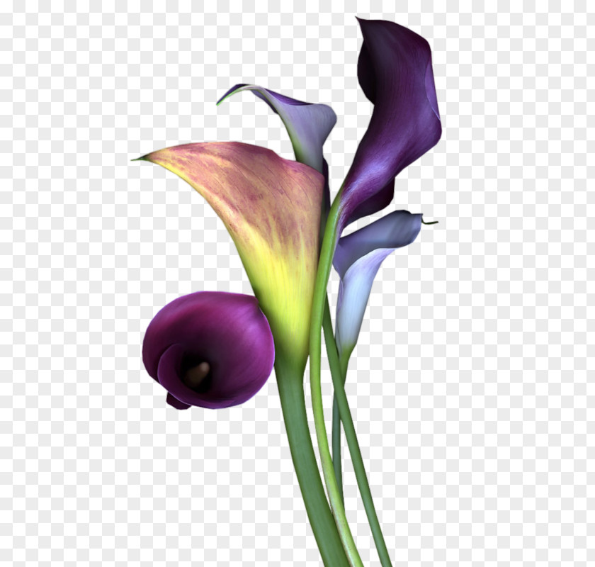 Flower Bouquet Mauve Violet Lavender PNG