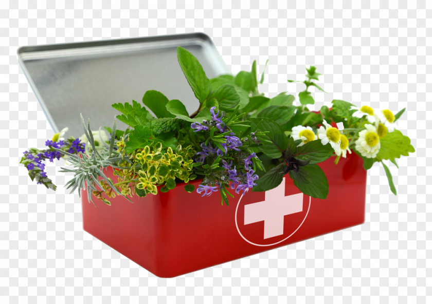 Herbs Herbal First Aid Kit Herbalism Kits Supplies PNG