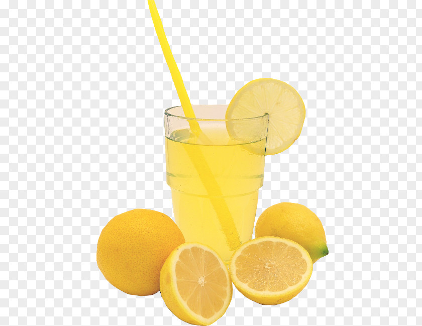 Juice Lemon Limeade Cocktail Garnish PNG